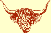 Hellifield Highland Beef Logo